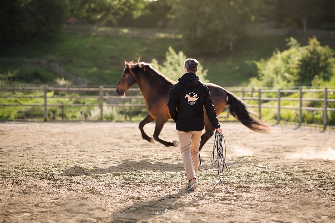 Guillaume Vitse, veste THE WAY, travaille un cheval bai au trot