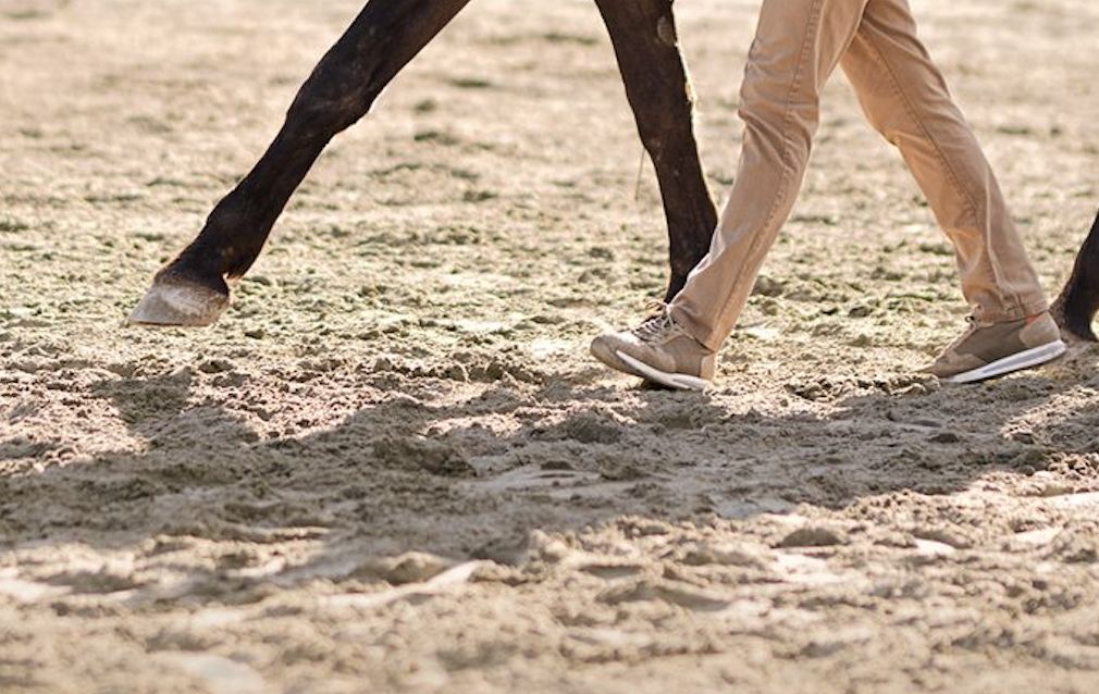 Détail : le sabot d'un cheval et le pied d'un marcheur avançant côte à côte dans le sable
