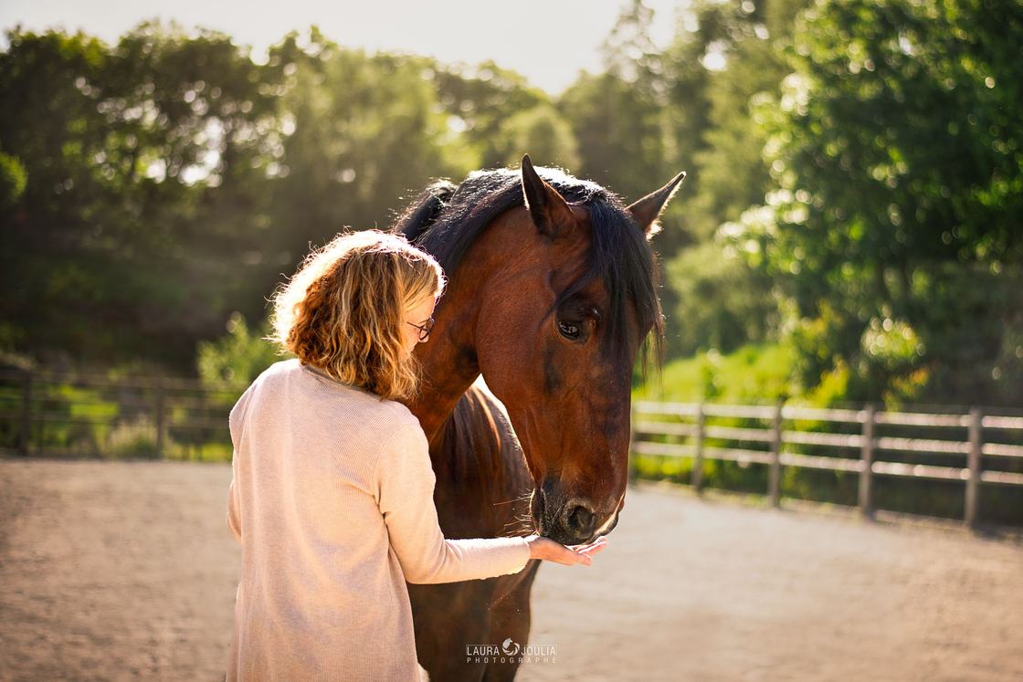 Une participante partage un moment de confiance avec un cheval bai au soleil couchant