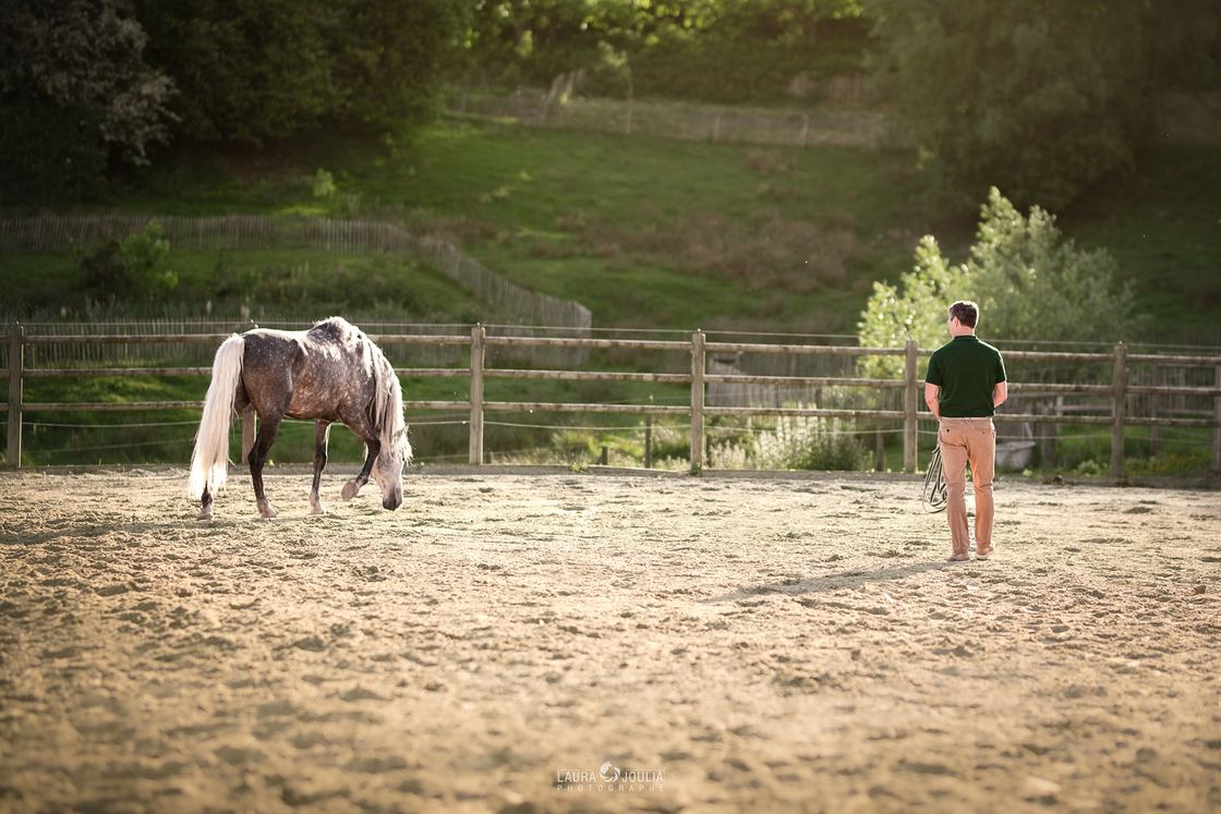 Guillaume Vitse observe à distance un cheval gris pommelé dans la carrière